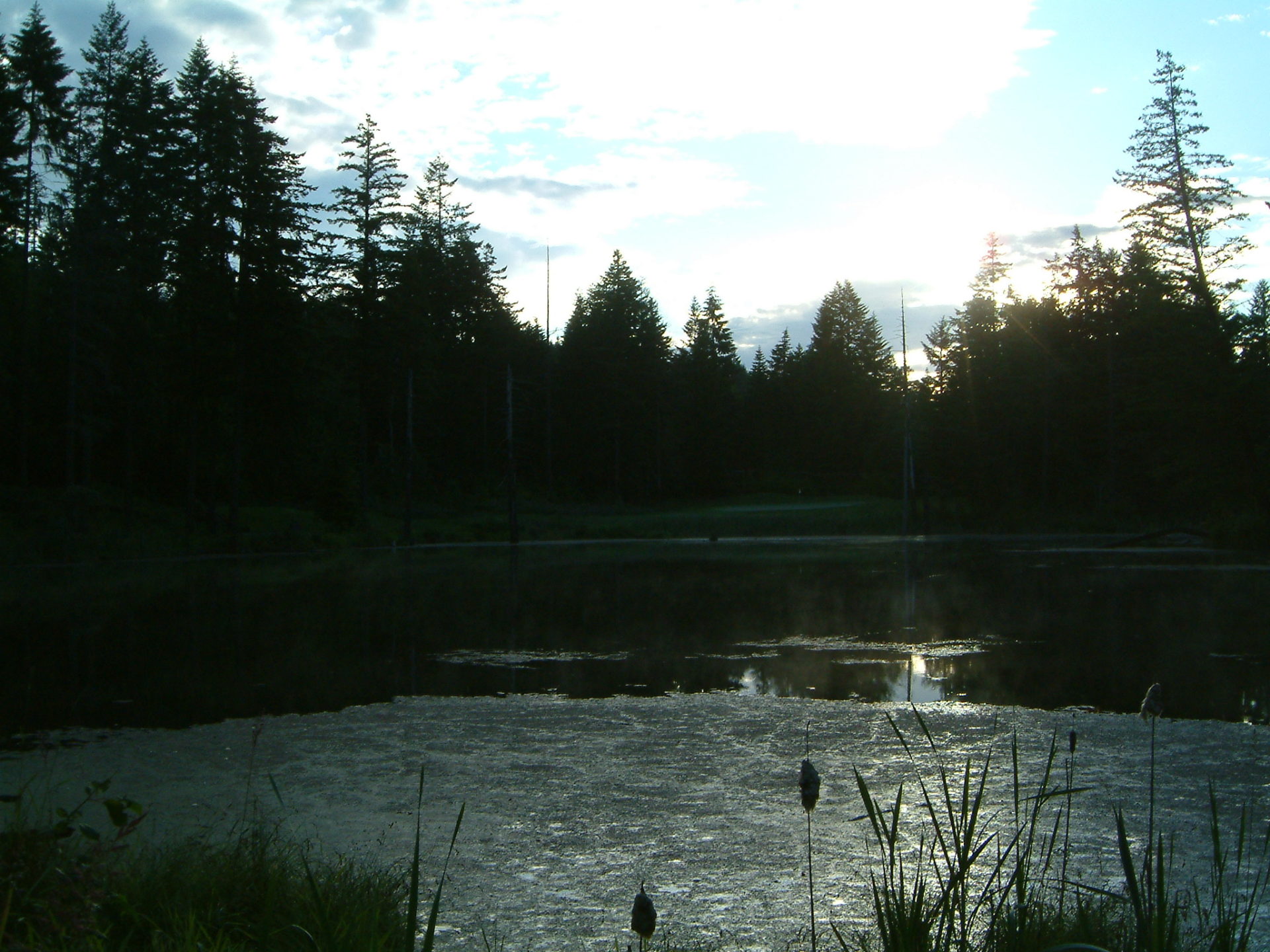 Sunrise at bullfrog pond